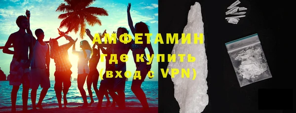 гидра Вязьма
