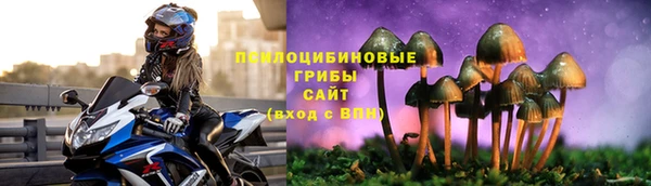 ECSTASY Вяземский
