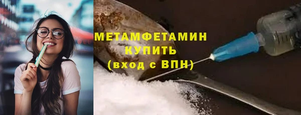 гидра Вязьма