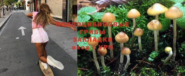 альфа пвп Горняк