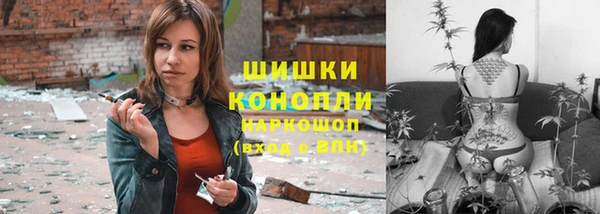 дмт Горно-Алтайск