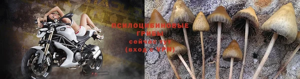 дмт Горно-Алтайск
