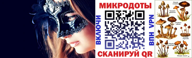 Купить где  Куровское  Псилоцибиновые грибы Psilocybine cubensis 