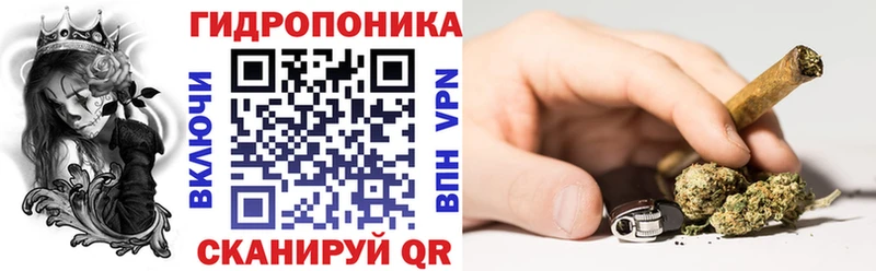 Шишки марихуана семена Купить Куровское